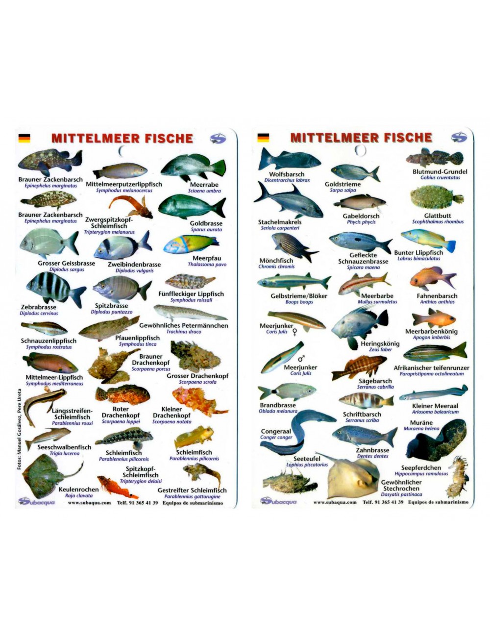 Fish Chart