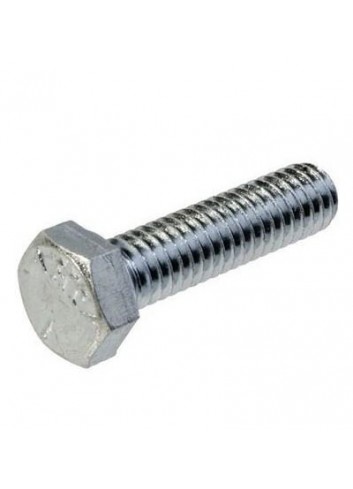 M8 SCREW S.S. 25 MM