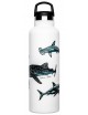 BOUTEILLE THERMIQUE SHARK POSTER