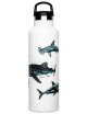 THERMIC WATER BOTTLE SHARK POSTER