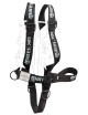 ARNÉS HEAVY LIGHT XR COMPLETO