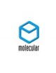 MOLECULAR